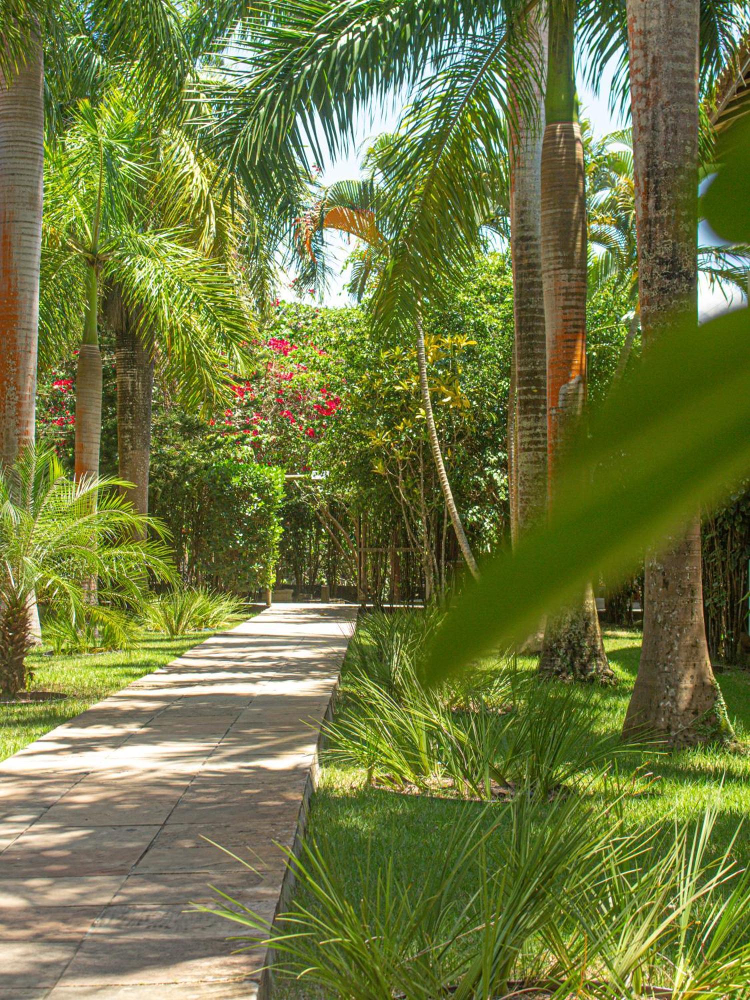 Sunshine Praia Hotel Porto Seguro Dış mekan fotoğraf